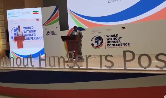 Acting Commerce Minister Nyenkan-Nimley Calls for Collective Action to End Global Hunger at World Without Hunger Conference