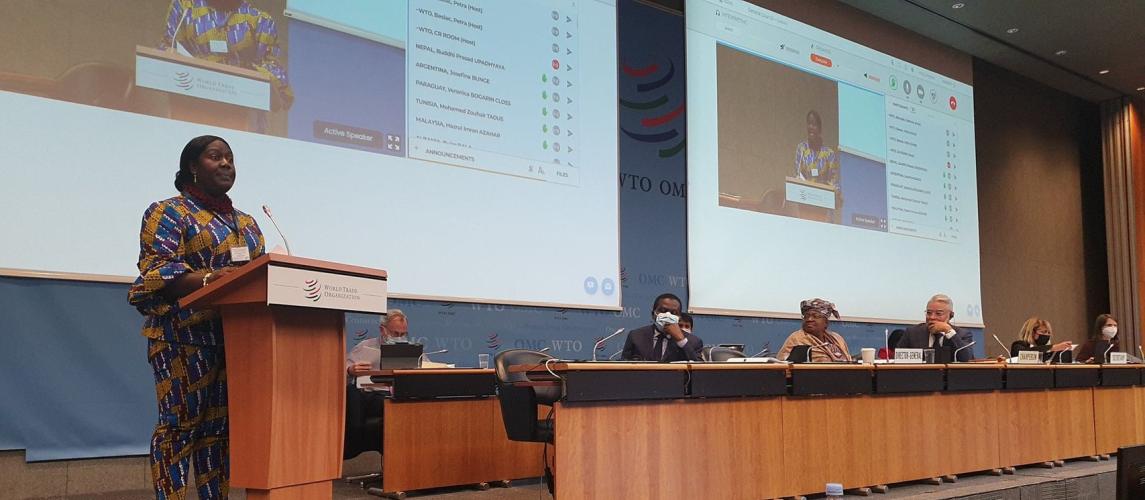 Address the Sixty-second assemblies at (WIPO) in Geneva