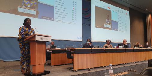 Address the Sixty-second assemblies at (WIPO) in Geneva